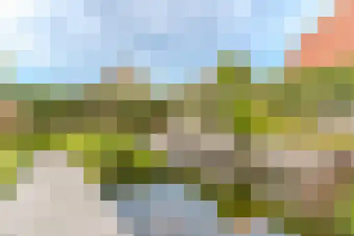 Joke Smitstraat 5 Rijen thumbnail 20