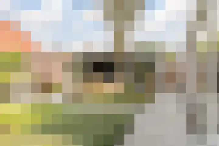 Joke Smitstraat 5 Rijen thumbnail 24