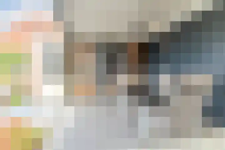 Joke Smitstraat 5 Rijen thumbnail 26