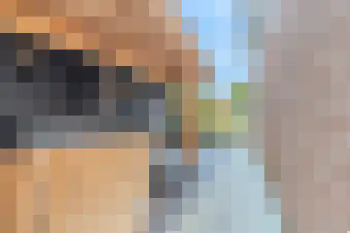 Joke Smitstraat 5 Rijen thumbnail 32
