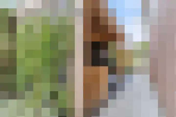 Joke Smitstraat 5 Rijen thumbnail 33