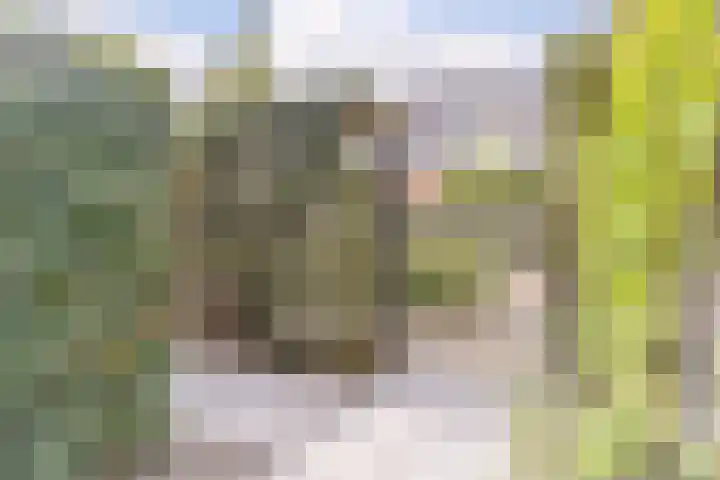 Joke Smitstraat 5 Rijen thumbnail 34