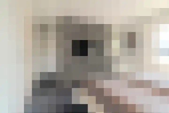 Joke Smitstraat 5 Rijen thumbnail 43
