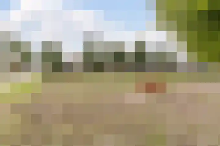 Joke Smitstraat 5 Rijen thumbnail 63
