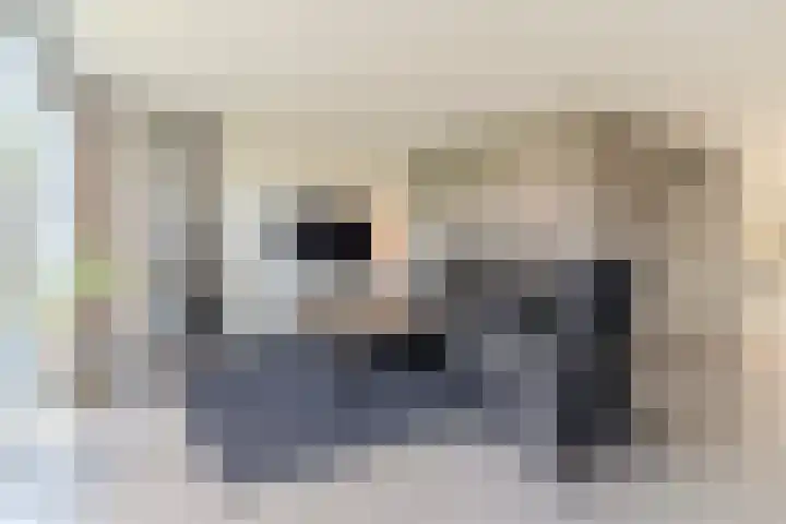 Joke Smitstraat 5 Rijen thumbnail 8