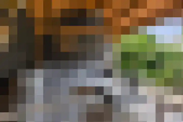 Joke Smitstraat 50 Deventer thumbnail 25