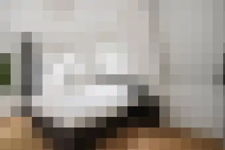 Joke Smitstraat 50 Deventer thumbnail 31