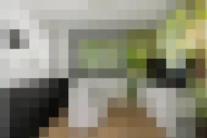 Joke Smitstraat 50 Deventer thumbnail 7
