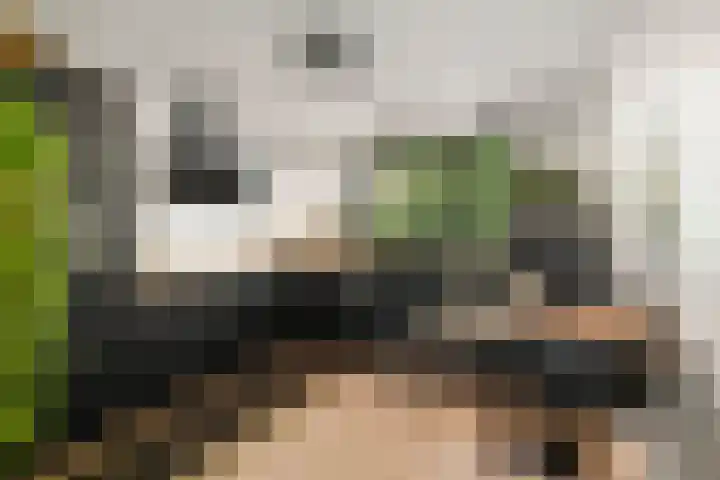 Joke Smitstraat 50 Deventer thumbnail 8