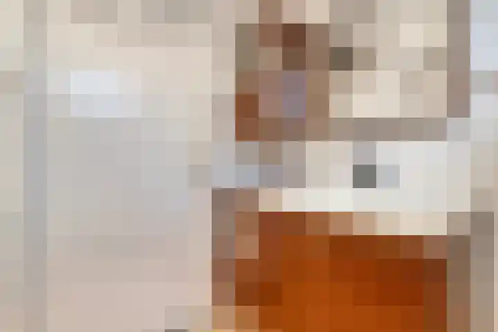 Joke Smitstraat 51 Coevorden thumbnail 24