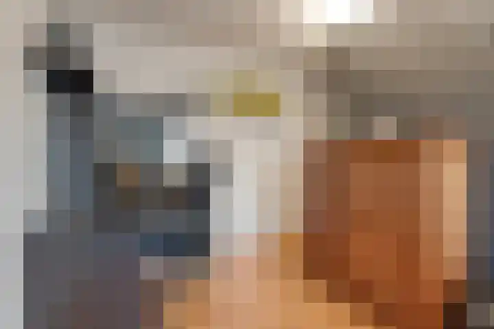 Joke Smitstraat 51 Coevorden thumbnail 28
