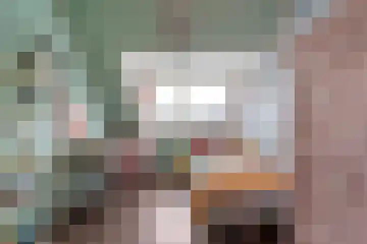 Joke Smitstraat 51 Coevorden thumbnail 29