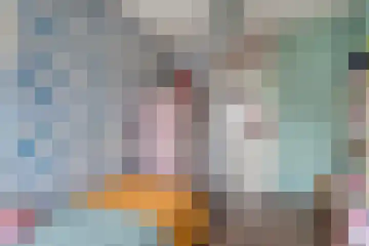 Joke Smitstraat 51 Coevorden thumbnail 30