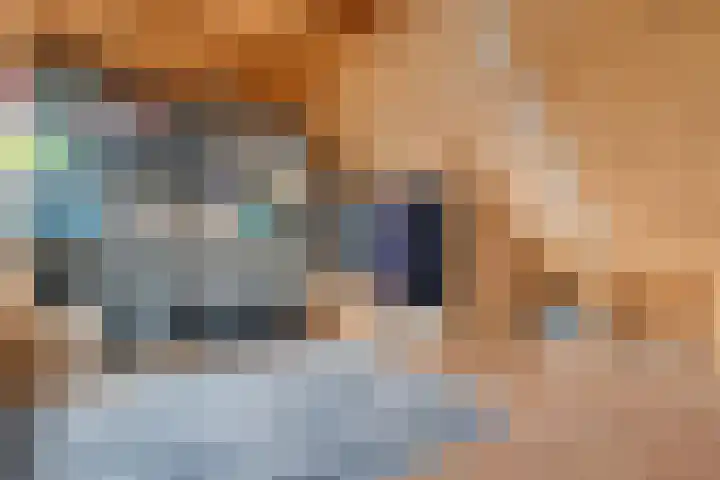 Joke Smitstraat 51 Coevorden thumbnail 31