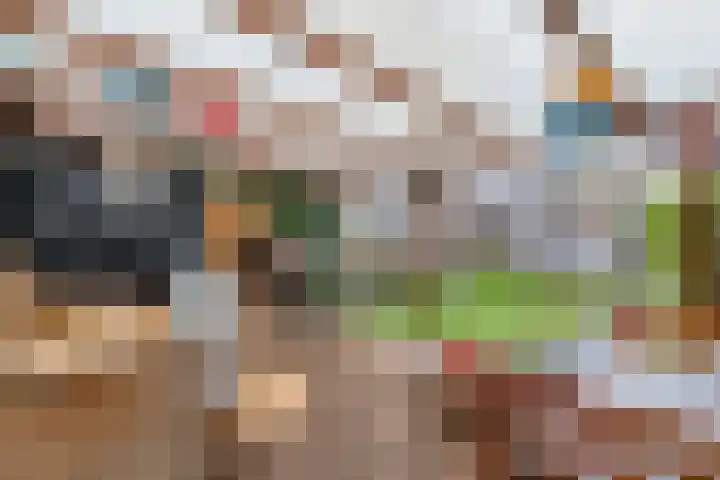 Joke Smitstraat 51 Coevorden thumbnail 35