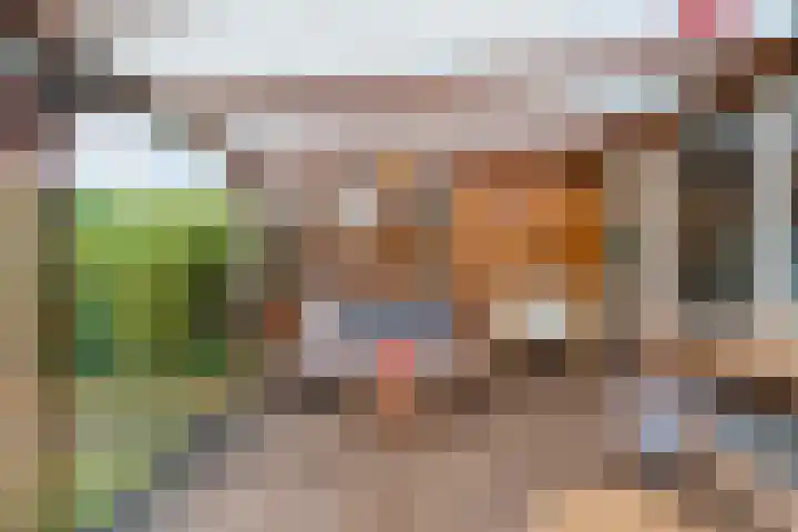 Joke Smitstraat 51 Coevorden thumbnail 36