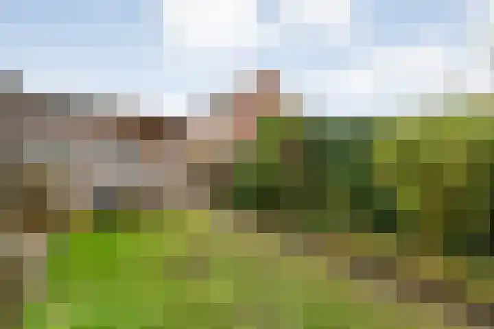 Joke Smitstraat 51 Coevorden thumbnail 37