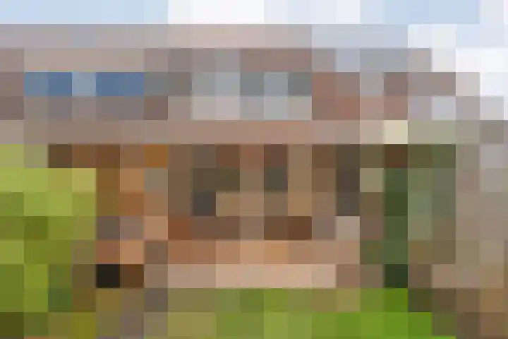 Joke Smitstraat 51 Coevorden thumbnail 38