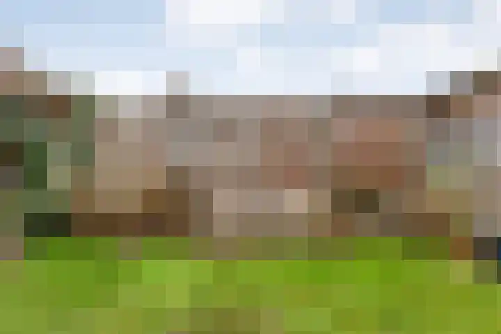 Joke Smitstraat 51 Coevorden thumbnail 39