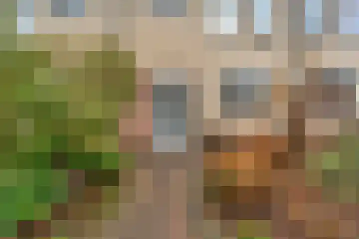 Joke Smitstraat 51 Coevorden thumbnail 4