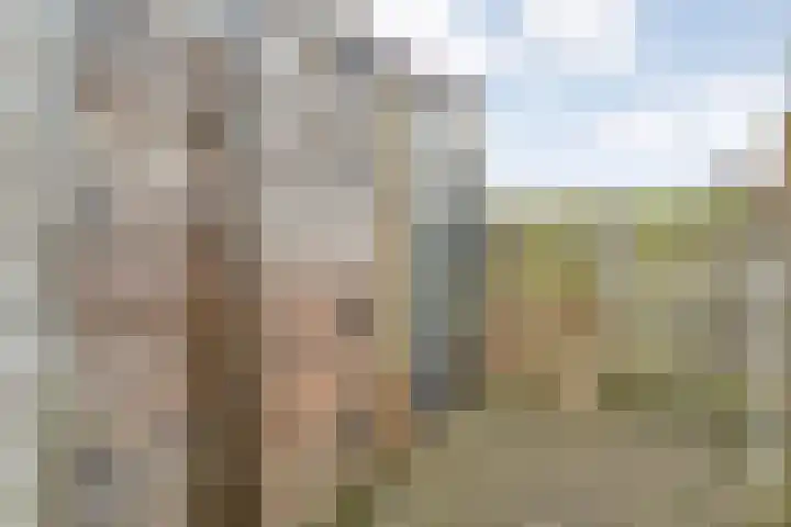 Joke Smitstraat 51 Coevorden thumbnail 40