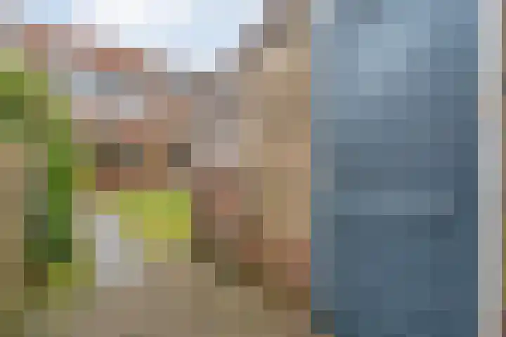 Joke Smitstraat 51 Coevorden thumbnail 41