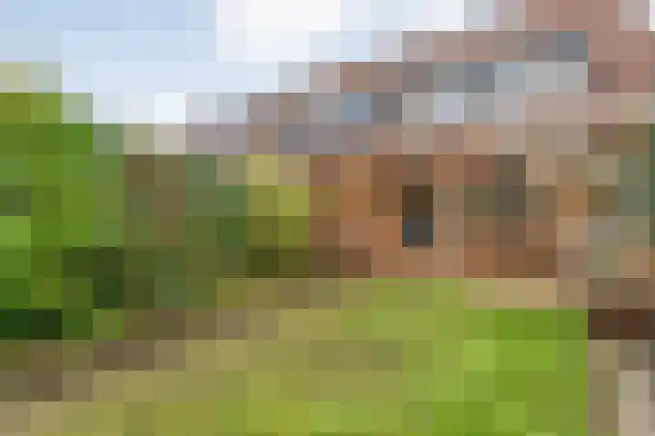 Joke Smitstraat 51 Coevorden thumbnail 42