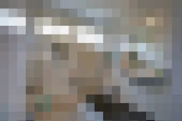 Joke Smitstraat 55 Bergen (NH) thumbnail 13