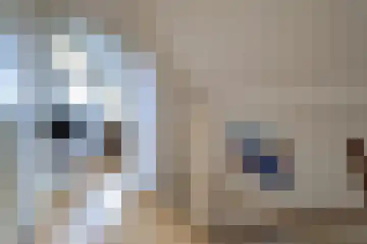 Joke Smitstraat 55 Bergen (NH) thumbnail 17