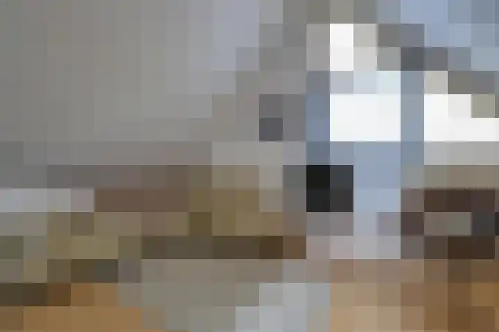 Joke Smitstraat 55 Bergen (NH) thumbnail 18