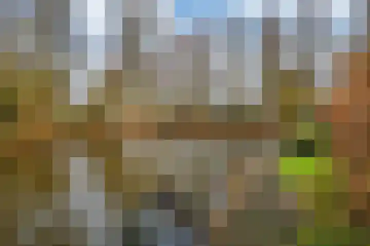 Joke Smitstraat 55 Bergen (NH) thumbnail 21