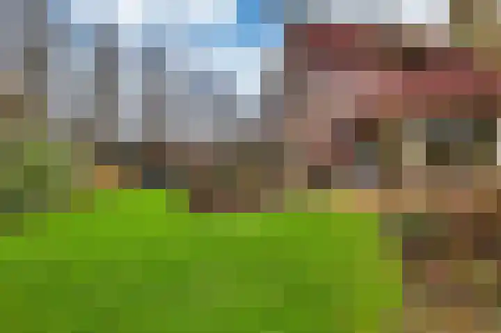 Joke Smitstraat 55 Bergen (NH) thumbnail 5