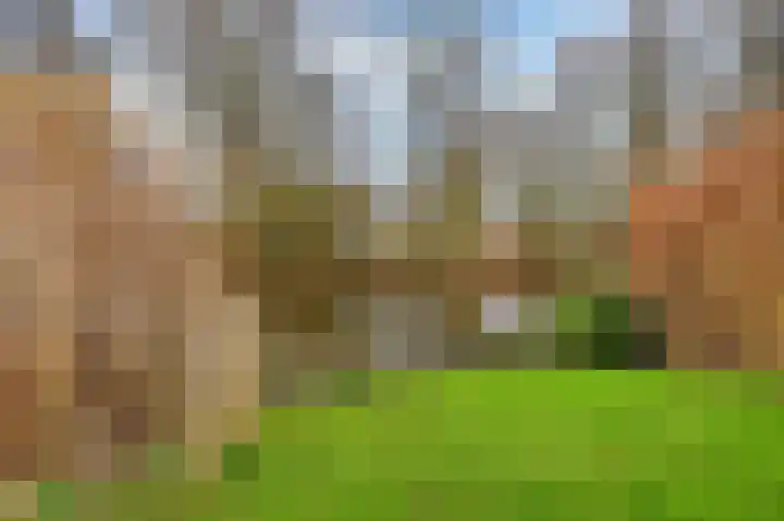 Joke Smitstraat 55 Bergen (NH) thumbnail 6