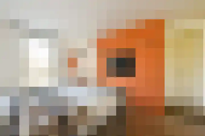 Joke Smitstraat 56 Hoofddorp thumbnail 9