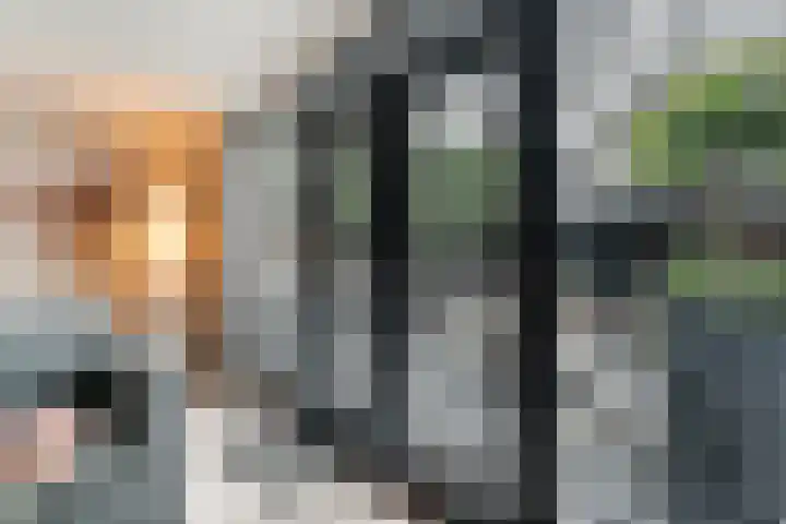 Joke Smitstraat 59 Coevorden thumbnail 17