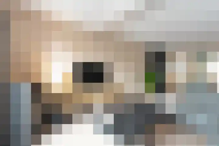 Joke Smitstraat 59 Coevorden thumbnail 18