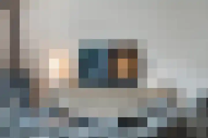 Joke Smitstraat 59 Coevorden thumbnail 20