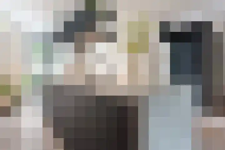 Joke Smitstraat 59 Coevorden thumbnail 23