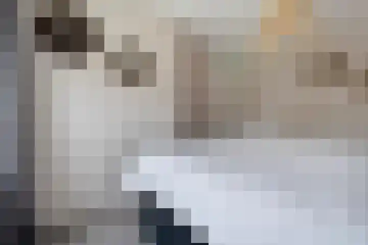 Joke Smitstraat 59 Coevorden thumbnail 28