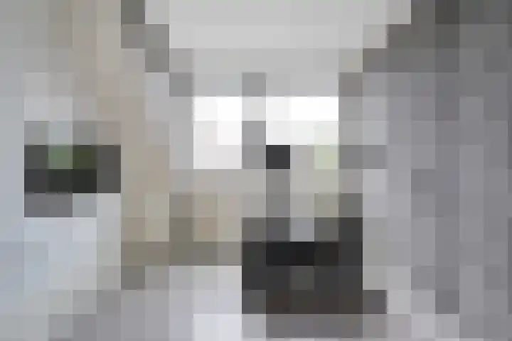 Joke Smitstraat 59 Coevorden thumbnail 29