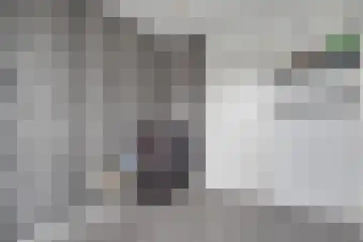 Joke Smitstraat 59 Coevorden thumbnail 30