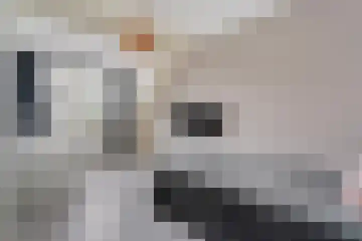 Joke Smitstraat 59 Coevorden thumbnail 31