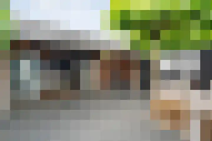 Joke Smitstraat 59 Coevorden thumbnail 38