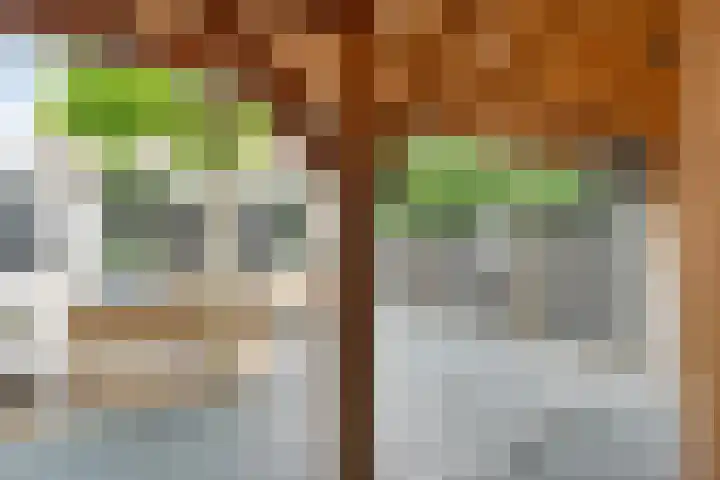 Joke Smitstraat 59 Coevorden thumbnail 39