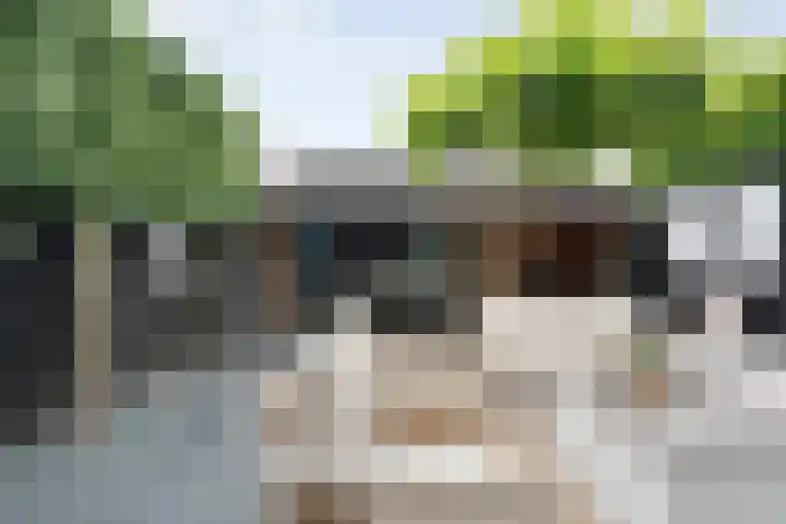 Joke Smitstraat 59 Coevorden thumbnail 41