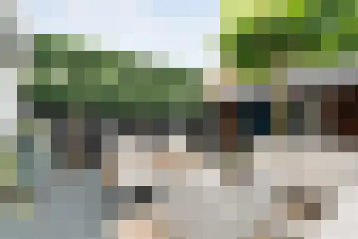 Joke Smitstraat 59 Coevorden thumbnail 42