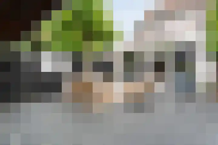 Joke Smitstraat 59 Coevorden thumbnail 43