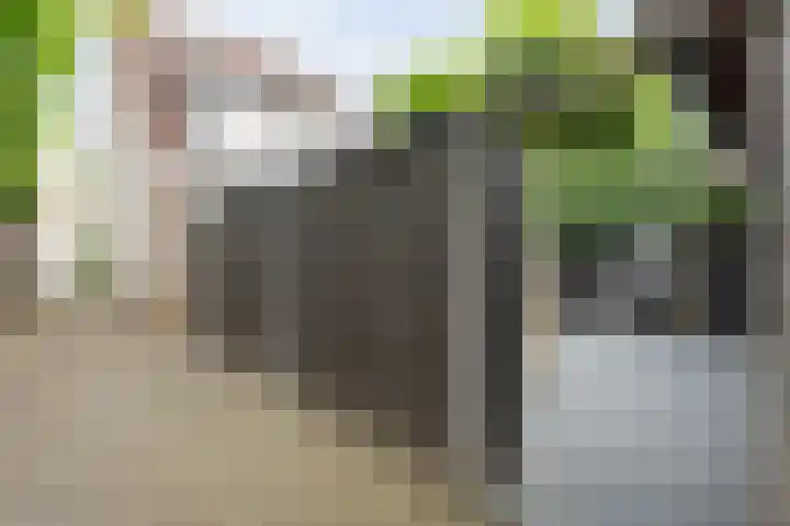 Joke Smitstraat 59 Coevorden thumbnail 47