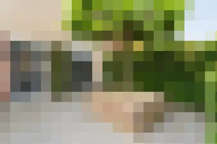 Joke Smitstraat 59 Coevorden thumbnail 48