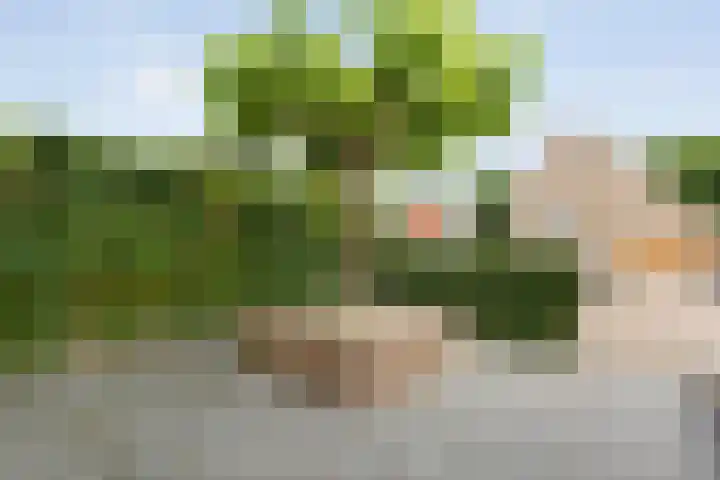 Joke Smitstraat 59 Coevorden thumbnail 49